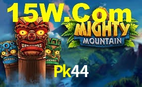 Premium Interface Pk44